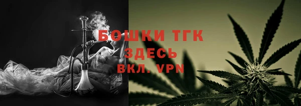 прущая мука Няндома