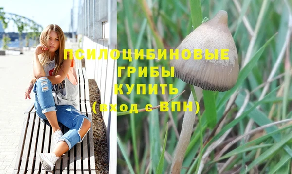 кокс Арсеньев